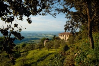 Azienda Agricola Pietroso