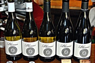 Marina Palusci Marina Palusci