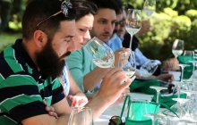 06 - Alla scoperta dei vini bianchi 06 - Alla scoperta dei vini bianchi