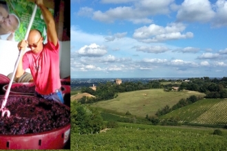 Cantina San Biagio Vecchio Cantina San Biagio Vecchio