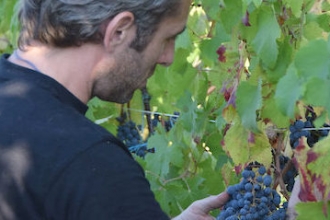 Tenuta Belvedere Tenuta Belvedere