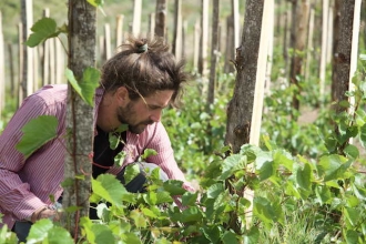 Calogero Caruana Calogero Caruana