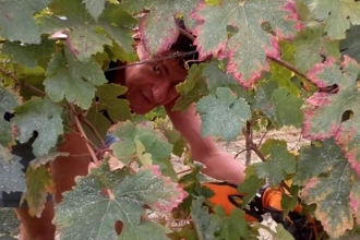 Cascina La Signorina Cascina La Signorina